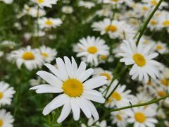 -贡湖湾湿地公园