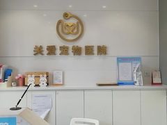 -关爱宠物医院·猫科中心·消化科(滨湖万达分院)