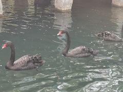 -长白岛森林公园