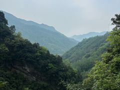 -龙窝子