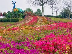 -东莞植物园