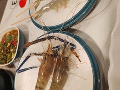 -椰子湾·海南火锅·糟粕醋·椰子鸡(正大广场店)