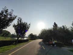 -西安浐灞国家湿地公园
