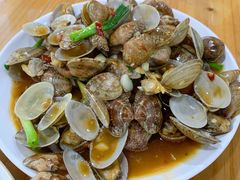 爆炒花甲-明记海鲜大排档(巽寮湾店)