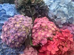 -昆明国际花卉拍卖交易中心