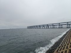 -星海湾跨海大桥