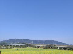 -光明小镇欢乐田园