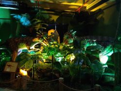 点击看大图 -恐龙探索乐园(磁器口店)