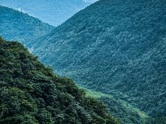 -武陵山森林公园