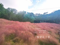 -牛岗山公园