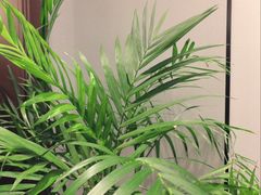 -永膳精致本味湘菜(麓谷店)