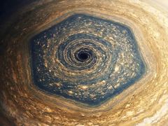 -山东单县风味羊肉汤馆(望园路店)