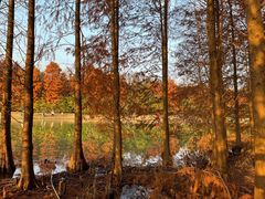 -上海海湾国家森林公园