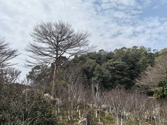 -广州市帽峰山景区