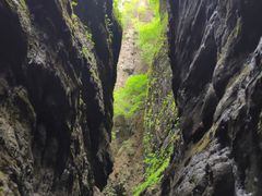 -野三坡百里峡景区