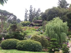 -汉庭顿图书馆