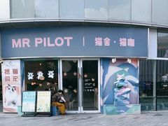 -飞行喵MR PILOT|猫舍·猫咖(静安大融城店)