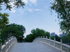 -塘沽森林公园
