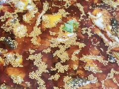 -川渔居—鱼火锅(八方汇店)