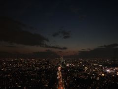 -六本木新城展望台(东京城市景观)