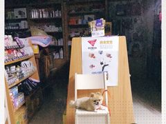 -爱侣宠医·鹦鹉专科·小型哺乳类·异宠专科(灵石路店)