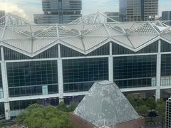 -新加坡泛太平洋酒店