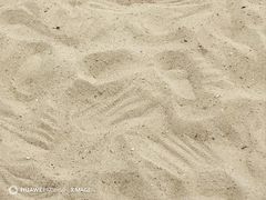 -海驴岛(荣成市)