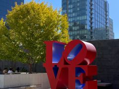 -旧金山现代艺术博物馆