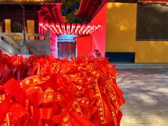 -亭林园-华藏寺