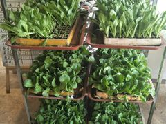 -宣威山野人家·云南菜·菌火锅(金碧店)