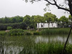 -尚贤河湿地