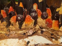 -大连铂尔曼酒店-铂尔曼美食廊 Pullman Deli