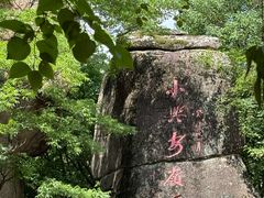 -汤旺河林海奇石景区