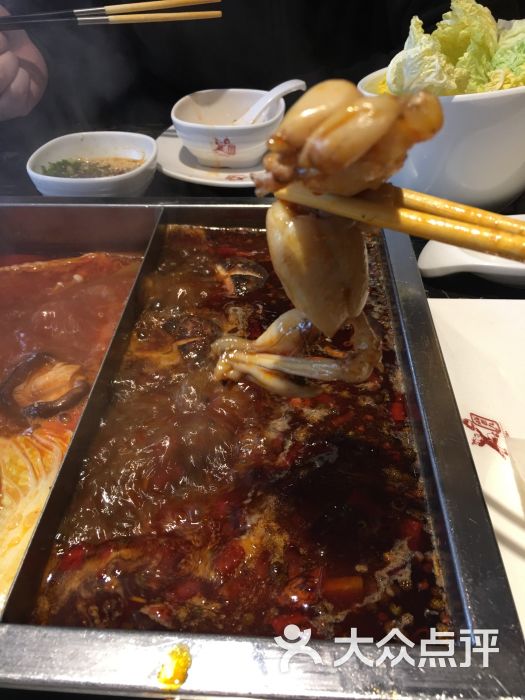 重庆高老九火锅(打浦桥店)牛蛙图片 - 第1951张