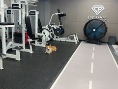 -EASY POWER健身工作室(浦东大道店)