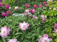 -莲池书院博物馆