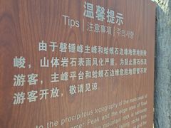 -磬锤峰森林公园