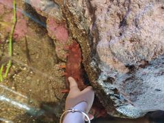 -西雅图水族馆