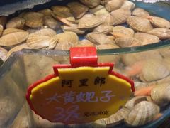 -阿里郎海鲜酒店