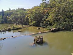 -云溪植物园