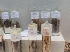 -广东中医药博物馆
