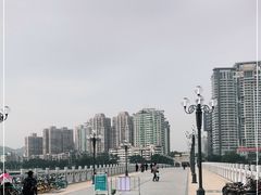 -野狸岛