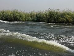 -白洋淀景区