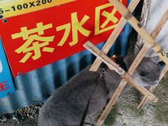 -竹泉农庄·竹筒饭(从化店)