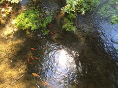 -水磨沟公园