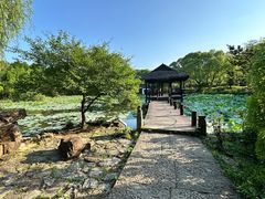 -兰亭风景区