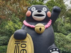 -上海海湾国家森林公园