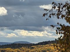 -莫尔道嘎国家森林公园