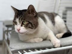 -UNI UNI(环亚凯瑟琳店)