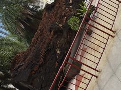 -海口骑楼小吃街